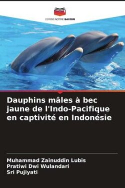 Dauphins mâles à bec jaune de l'Indo-Pacifique en captivité en Indonésie