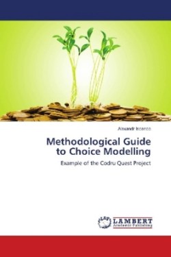 Methodological Guide to Choice Modelling