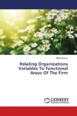 Relating Organizations Variables To Functional Areas Of The Firm