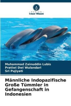 Männliche Indopazifische Große Tümmler in Gefangenschaft in Indonesien