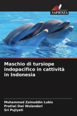 Maschio di tursiope indopacifico in cattività in Indonesia