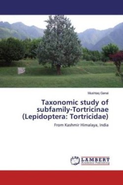 Taxonomic study of subfamily-Tortricinae (Lepidoptera