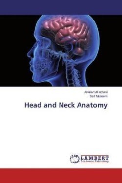 Head and Neck Anatomy