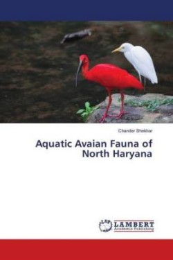 Aquatic Avaian Fauna of North Haryana