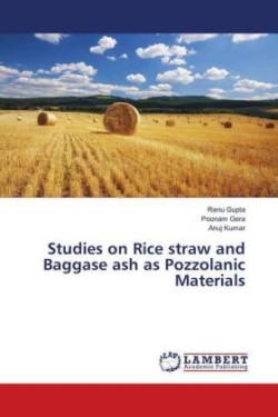 Studies on Rice straw and Baggase ash as Pozzolanic Materials