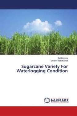 Sugarcane Variety For Waterlogging Condition