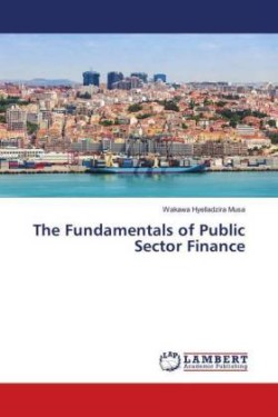 The Fundamentals of Public Sector Finance