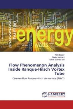 Flow Phenomenon Analysis Inside Ranque-Hilsch Vortex Tube