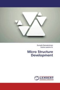 Micro Structure Development