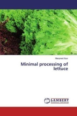 Minimal processing of lettuce