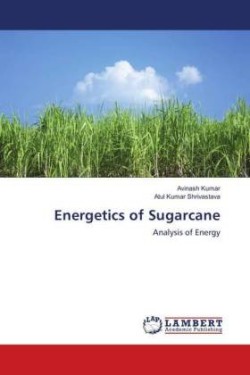 Energetics of Sugarcane