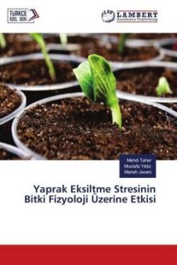 Yaprak Eksiltme Stresinin Bitki Fizyoloji Üzerine Etkisi