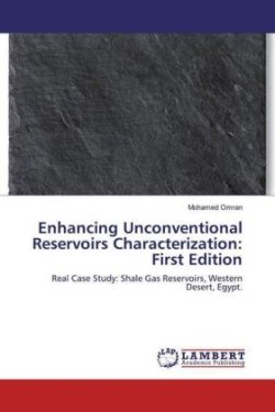 Enhancing Unconventional Reservoirs Characterization: First Edition