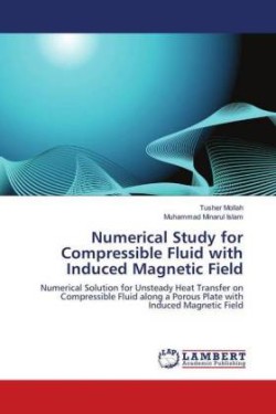 Numerical Study for Compressible Fluid with Induced Magnetic Field