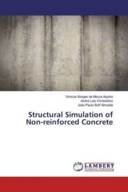 Structural Simulation of Non-reinforced Concrete