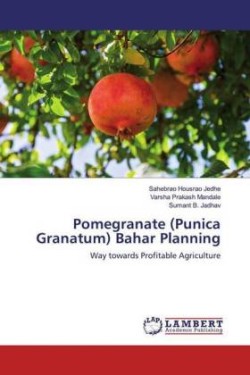 Pomegranate (Punica Granatum) Bahar Planning