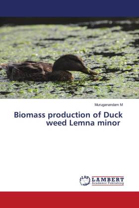 Biomass production of Duck weed Lemna minor