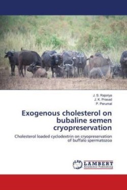 Exogenous cholesterol on bubaline semen cryopreservation