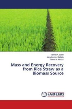Mass and Energy Recovery from Rice Straw as a Biomass Source