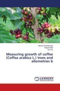Measuring growth of coffee (Coffea arabica L.) trees and allometries b