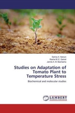 Studies on Adaptation of Tomato Plant to Temperature Stress