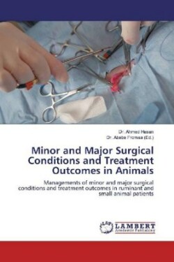 Minor and Major Surgical Conditions and Treatment Outcomes in Animals