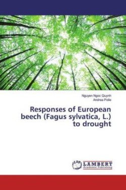 Responses of European beech (Fagus sylvatica, L.) to drought