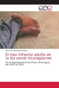 tipo infractor adulto de la ley penal nicaragüense