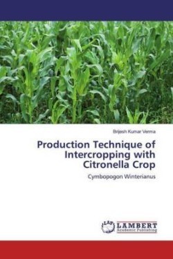 Production Technique of Intercropping with Citronella Crop