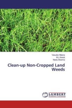 Clean-up Non-Cropped Land Weeds