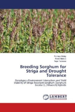 Breeding Sorghum for Striga and Drought Tolerance