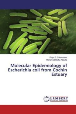 Molecular Epidemiology of Escherichia coli from Cochin Estuary