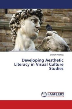 Developing Aesthetic Literacy in Visual Culture Studies