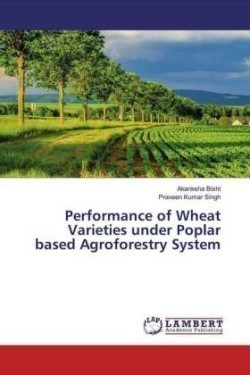 Performance of Wheat Varieties under Poplar based Agroforestry System