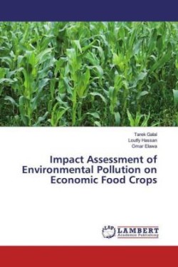 Impact Assessment of Environmental Pollution on Economic Food Crops