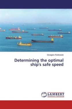 Determining the optimal ship's safe speed