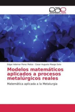 Modelos matemáticos aplicados a procesos metalúrgicos reales