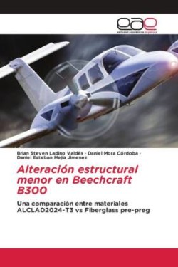 Alteración estructural menor en Beechcraft B300