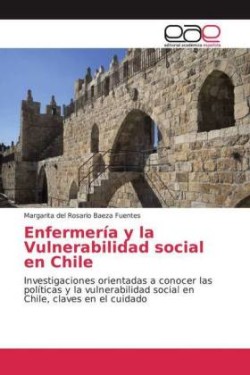Enfermería y la Vulnerabilidad social en Chile