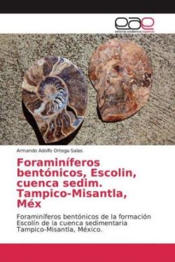 Foraminíferos bentónicos, Escolin, cuenca sedim. Tampico-Misantla, Méx
