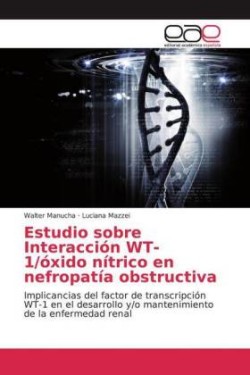 Estudio sobre Interacción WT-1/óxido nítrico en nefropatía obstructiva