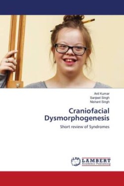 Craniofacial Dysmorphogenesis