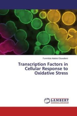 Transcription Factors in Cellular Response to Oxidative Stress