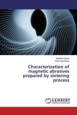 Characterization of magnetic abrasives prepared by sintering process