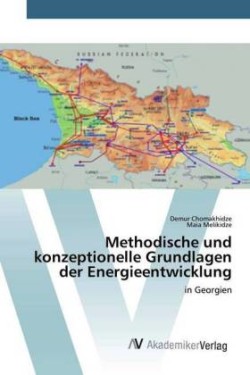 Methodische und konzeptionelle Grundlagen der Energieentwicklung