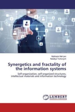 Synergetics and fractality of the information systems