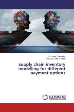 Supply chain inventory modelling for different payment options