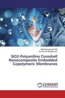 SiO2-Polyaniline Coreshell Nanocomposite Embedded Copolymeric Membranes