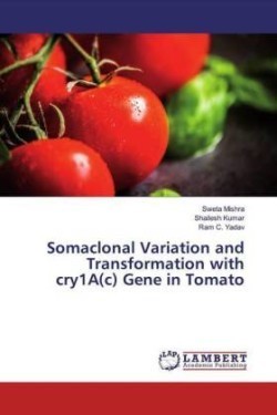 Somaclonal Variation and Transformation with cry1A(c) Gene in Tomato