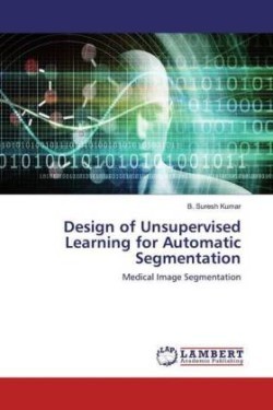 Design of Unsupervised Learning for Automatic Segmentation